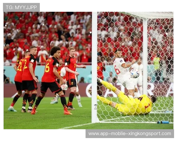 多特青训小将替补上场建功,未来可期