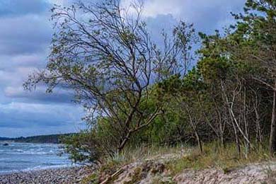 2021年季后赛：库里连续投出关键三分，带领勇士逆风翻盘，库里季后赛得分