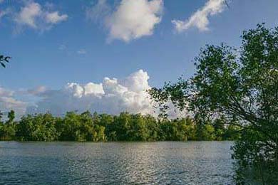 AC米兰客场大胜罗马，伊布拉希莫维梅开二度，ac米兰与伊布续约至2021年