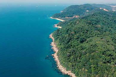 2025年中国篮球职业联赛新赛制全面推行，中国篮球职业联赛哪年开始